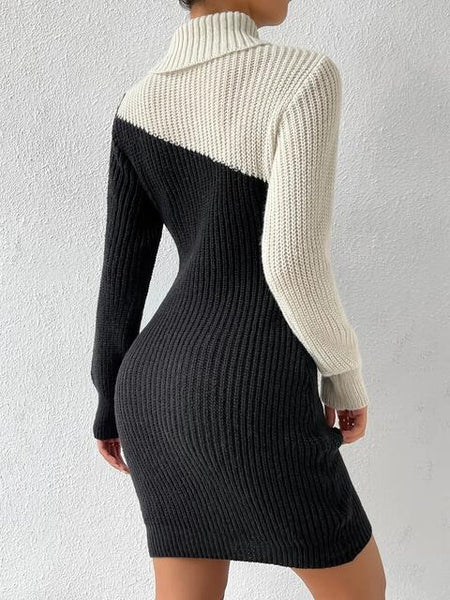 Contrast Turtleneck Sweater Dress